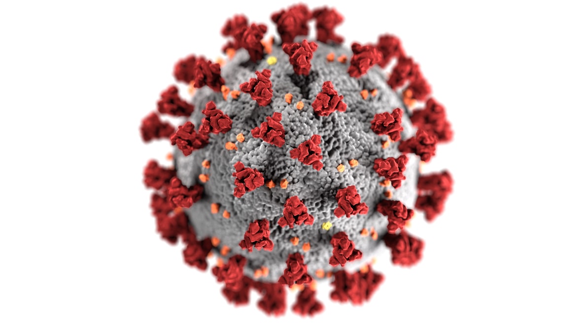 Coronavirus Bild